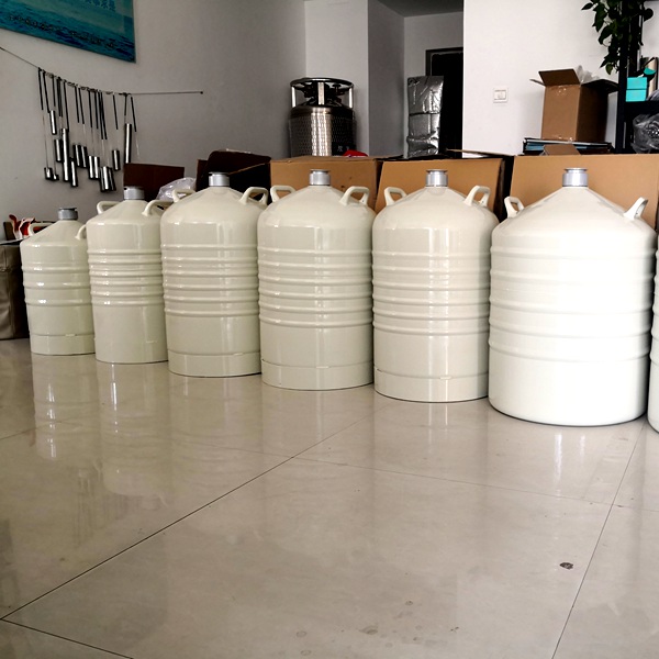 Customized liquid nitrogen container